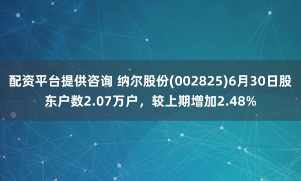 配资平台提供咨询 纳尔股份(002825)6月30日股东户数2.07万户，较上期增加2.48%