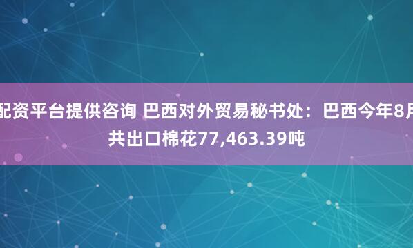 配资平台提供咨询 巴西对外贸易秘书处：巴西今年8月共出口棉花77,463.39吨